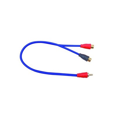 AIV 890703 Y RCA